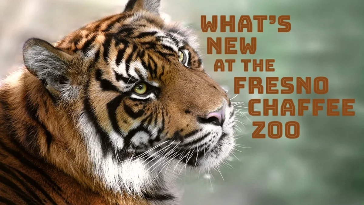 green kush in clear plastic container