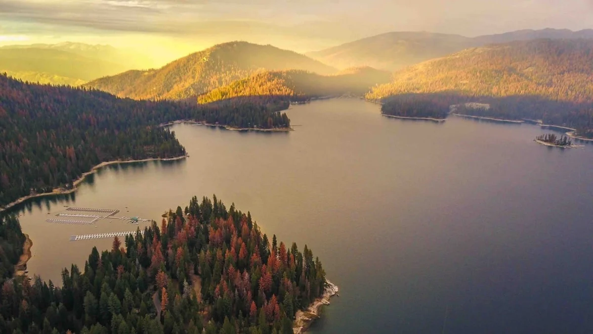 green kush in clear plastic container