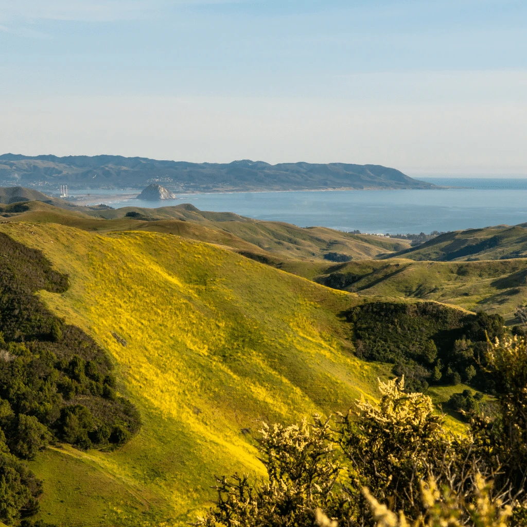 Central California Embarc Dispensary Locations Map