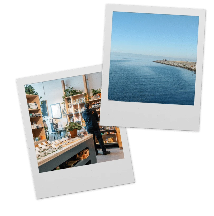 Embarc Dispensaries California Map