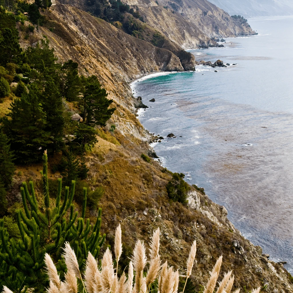 Northern California Embarc Dispensary Locations Map