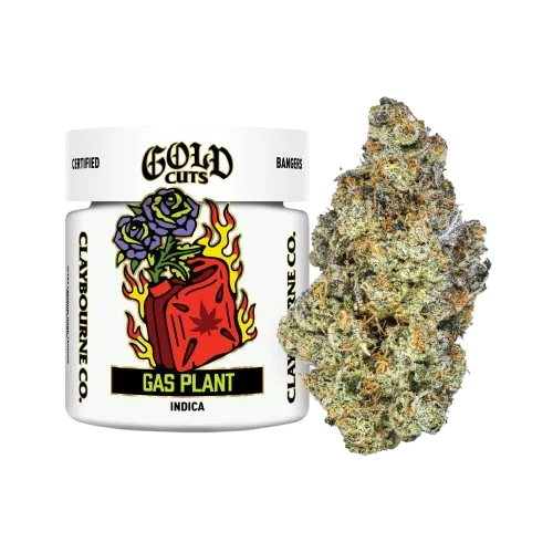 GOLD CUTS ULTRA PREMIUM FLOWER [3.5G] GAS PLANT