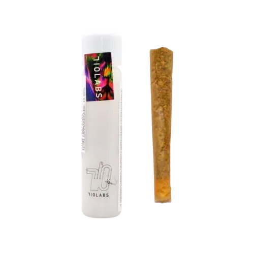 INFUSED PREROLL [2G] DONNY BURGER + GUAVA - 2 G