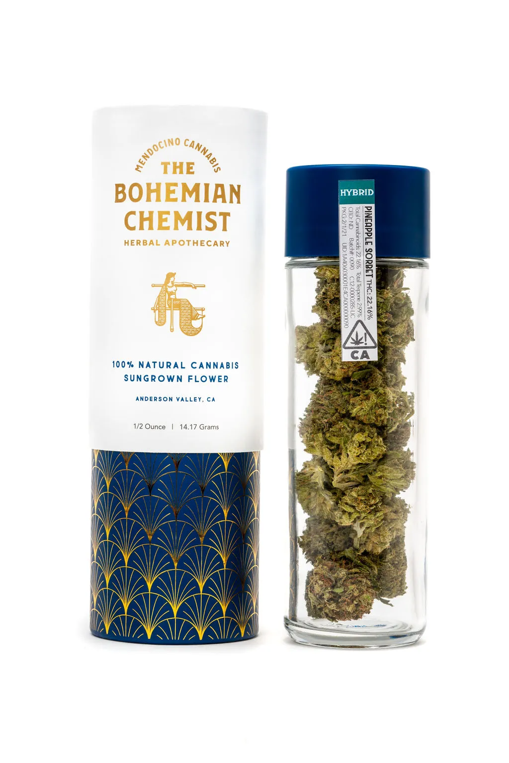 FLOWER [14G] AFRICAN GOLD MAD BOTANIST