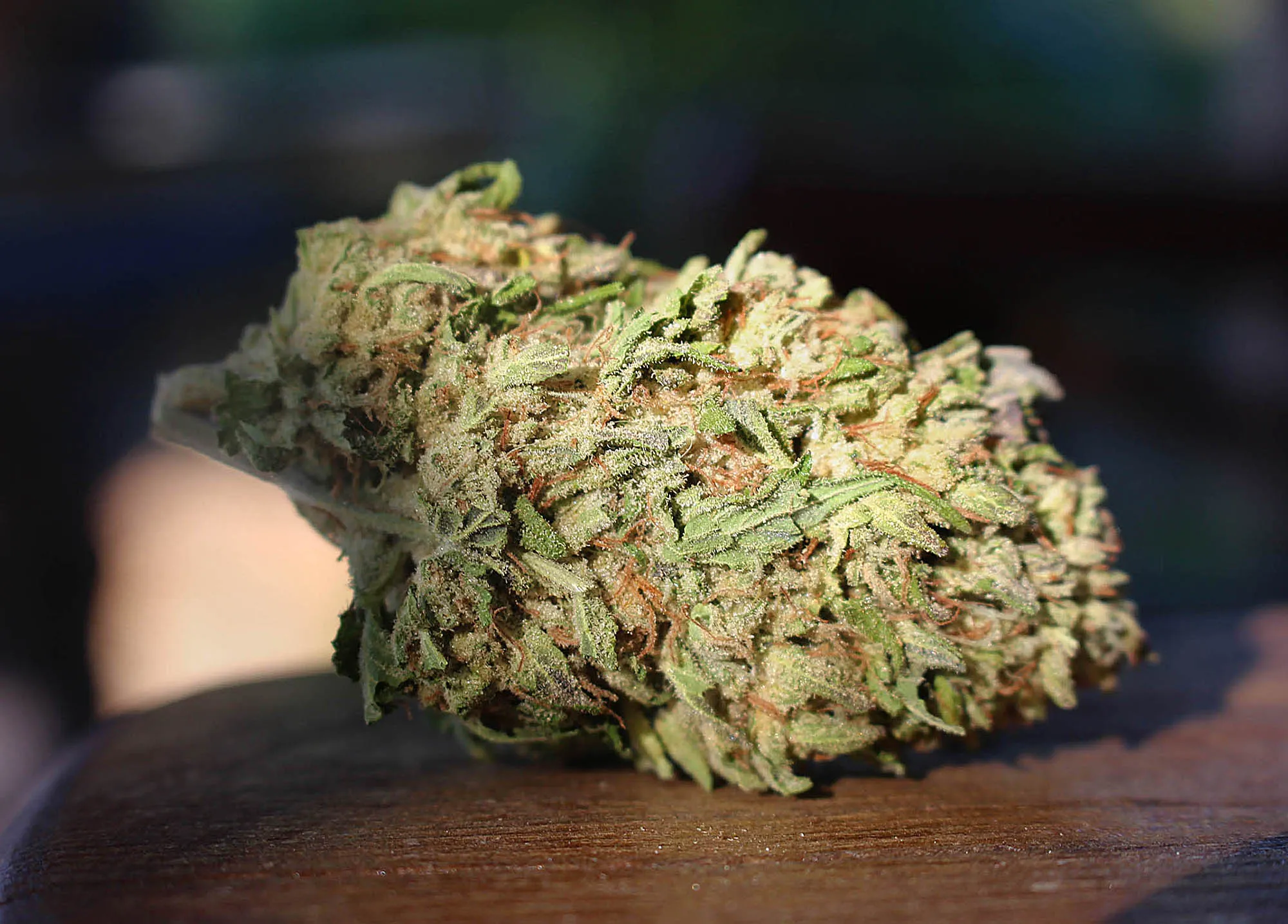 FLOWER [7G] APRICOT CAKE - 7 G