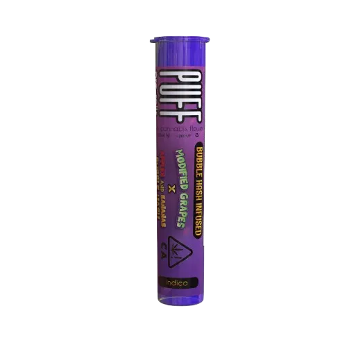 BUBBLE HASH PREROLL [1G] MODIFIED GRAPES X APPLES AND BANANAS - 1 G product image