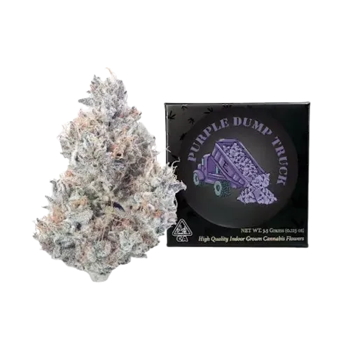 FLOWER [3.5G] PURPLE DUMP TRUCK - 3.5 G