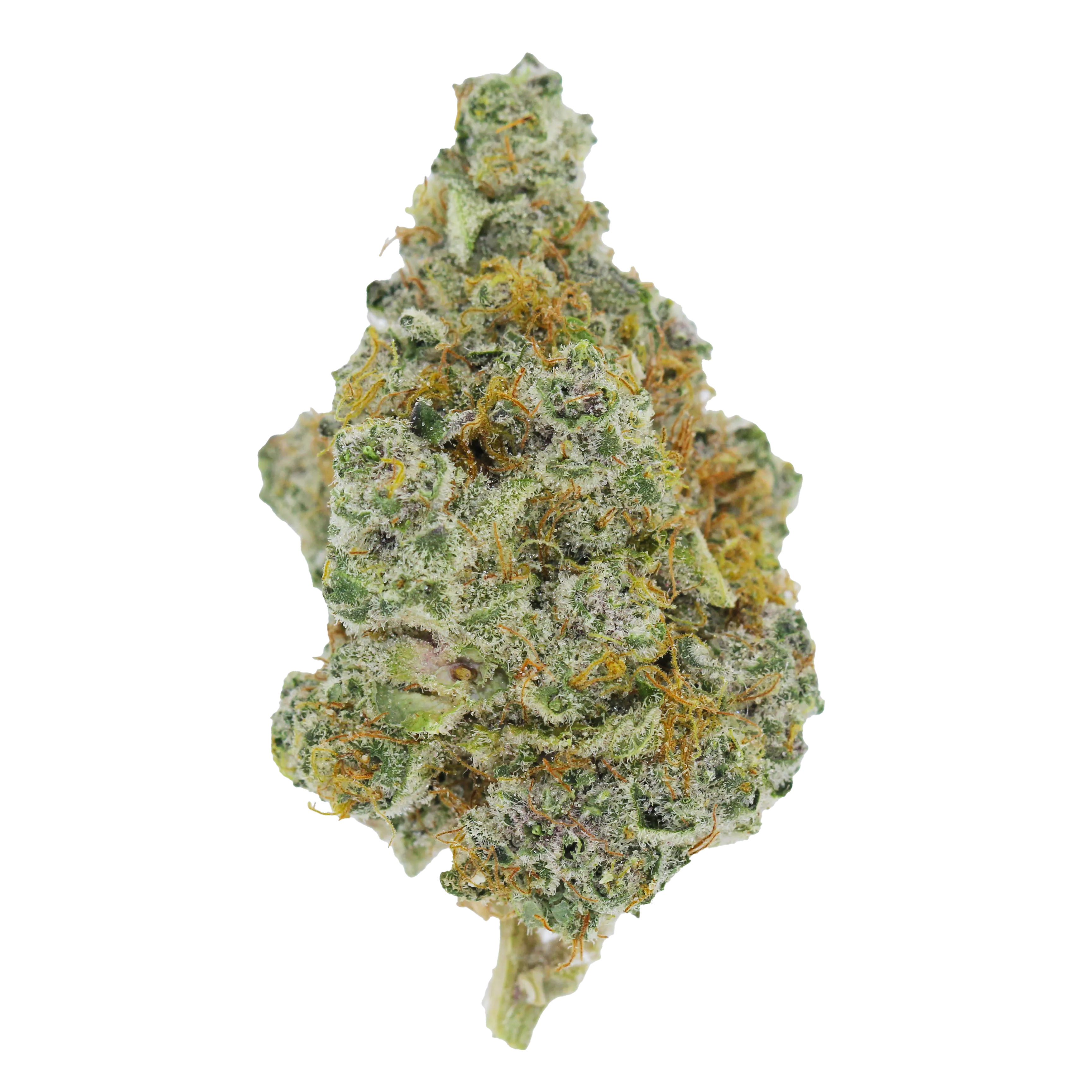 FLOWER [7G] ORANGE CREAMSICLE - 7 G