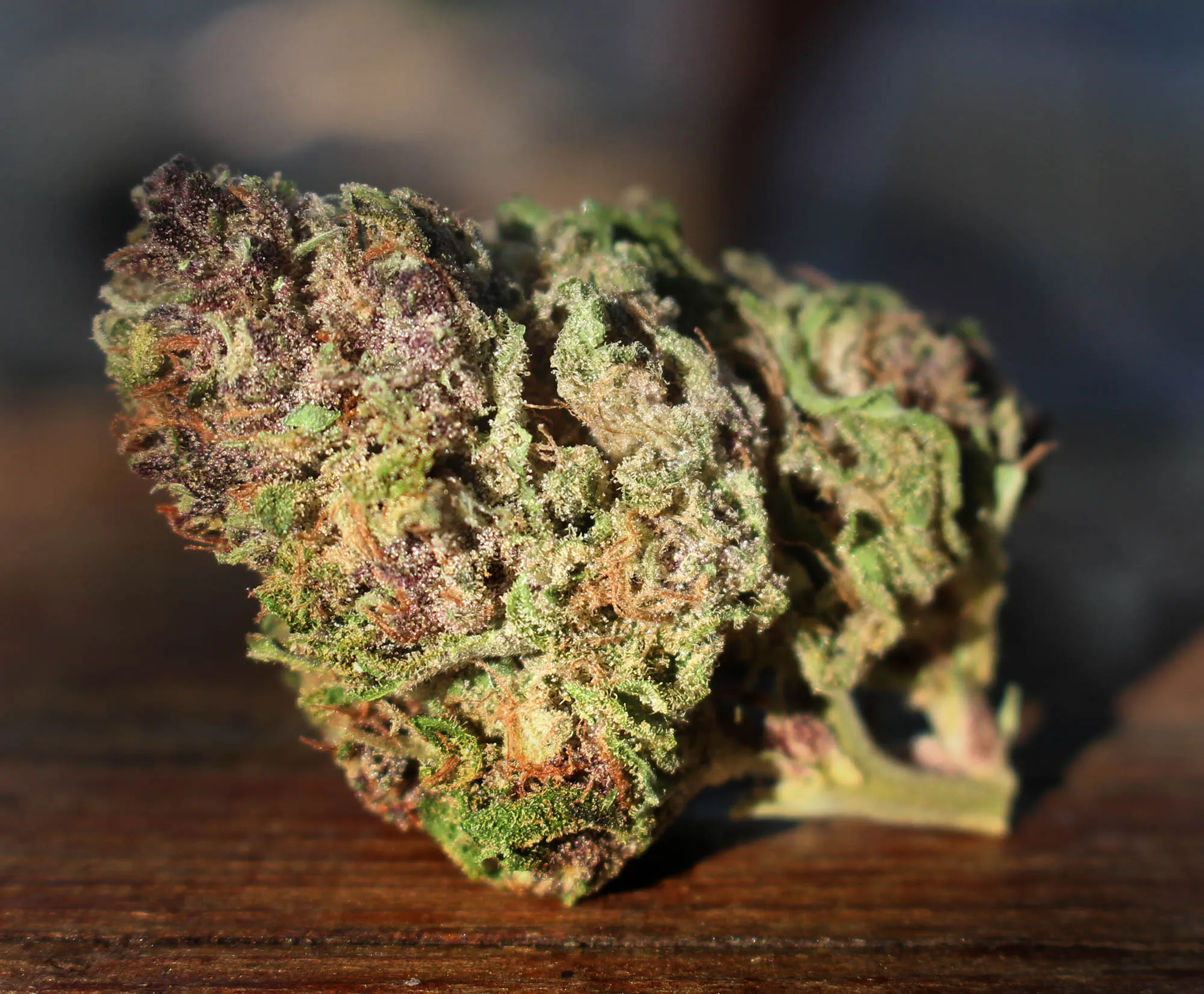 FLOWER [14G] PAPAYA VALLEY GOO - 14 G