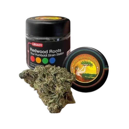 FARMER'S CHOICE FLOWER [3.5G] TROPICANA REX BY LADY SATIVA - 3.5 G product image