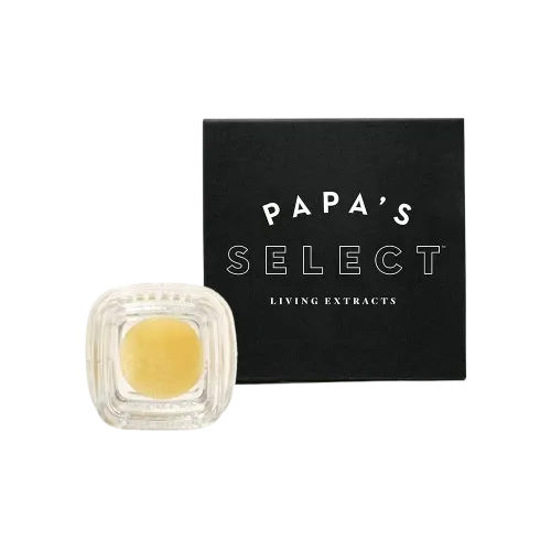 PREMIUM LIVE ROSIN [1G] PAPAYA CAKE - 1 G