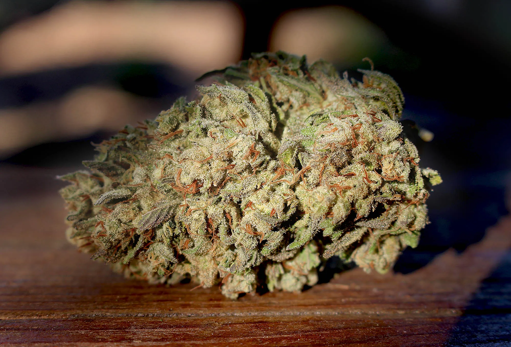 FLOWER [7G] MAGIK MOONBEAM - 7 G