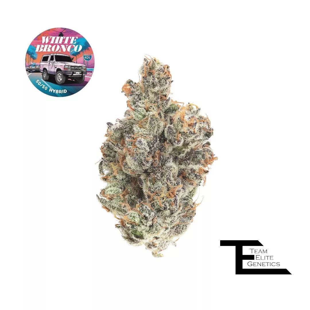 WHITE BRONCO 3.5G