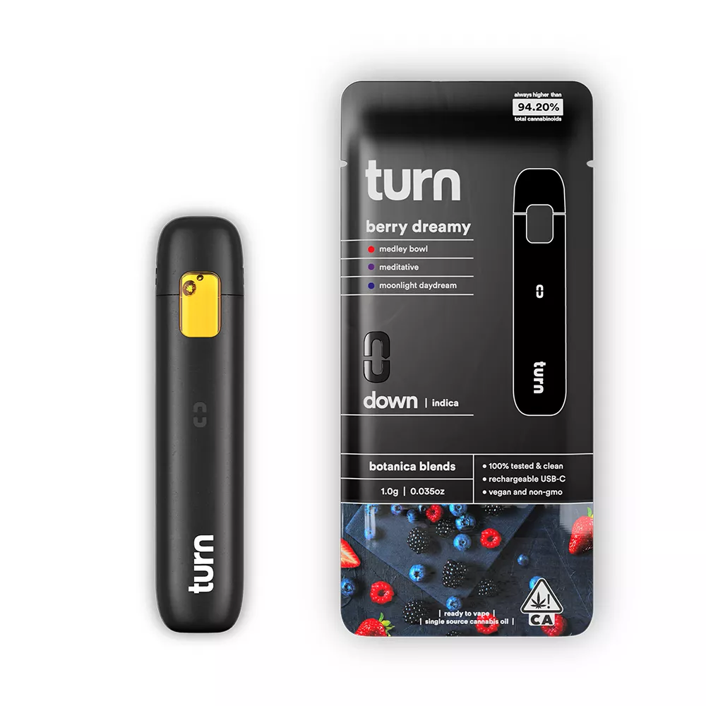 BERRY DREAMY AIO 1000MG