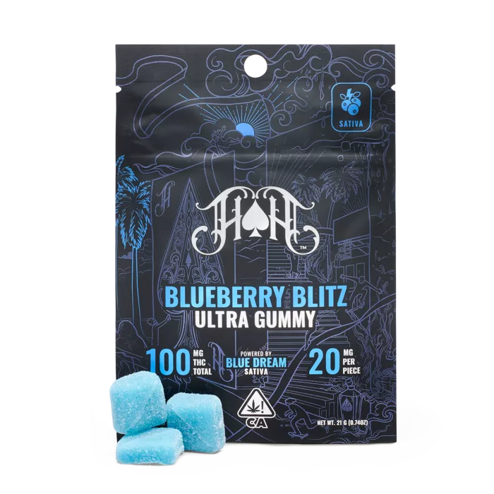 GUMMIES 5PK [100MG] BLUEBERRY BLITZ product image