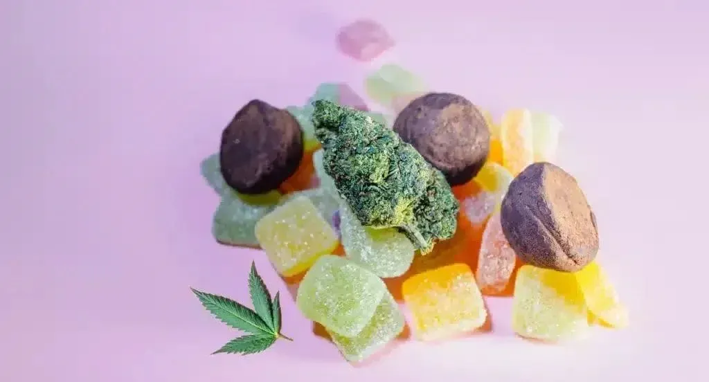 What Really Happens When You Eat An Edible And Go To Bed?