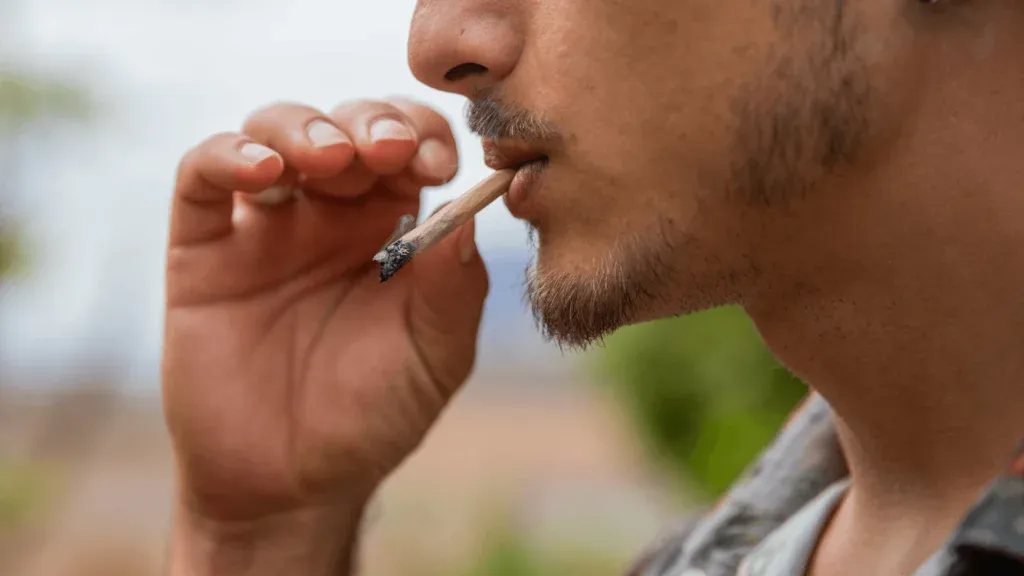 cannabis legalization in mexico