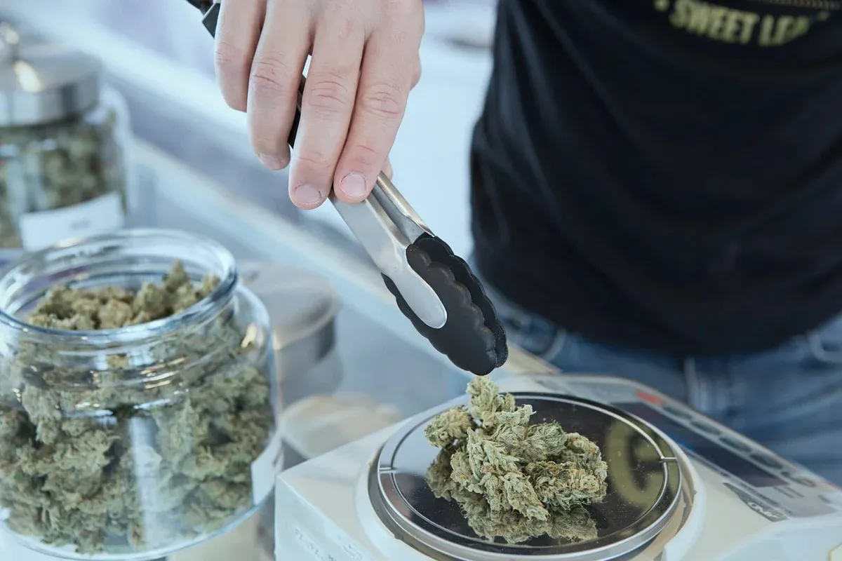 What Is Shatter?