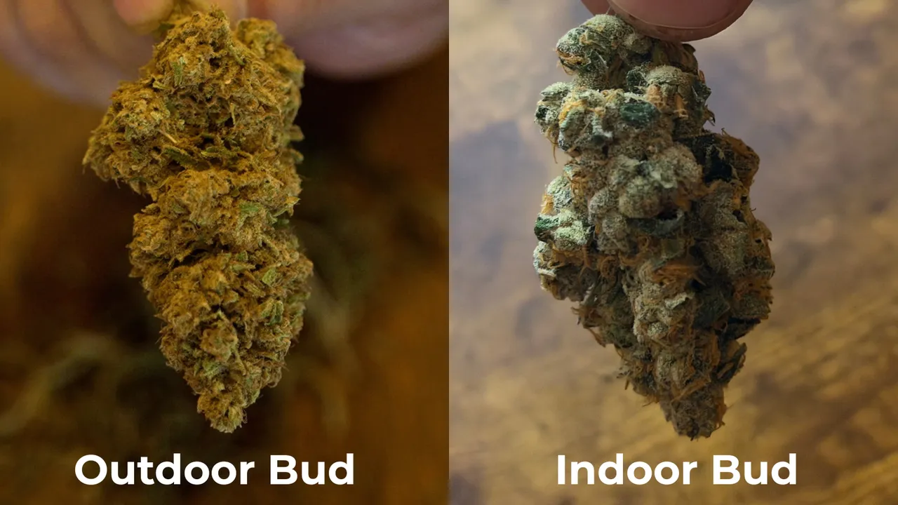 Outdoor bud and indoor bud side by side