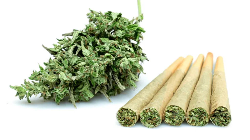 pre-roll weed