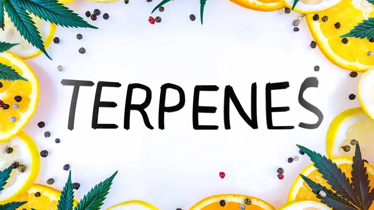 Cannabis Terpenes Effects Guide: Complete List & Chart