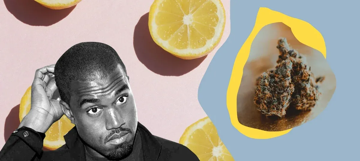 Does the scent of your weed affect your high? Top Facts on Terpenes
