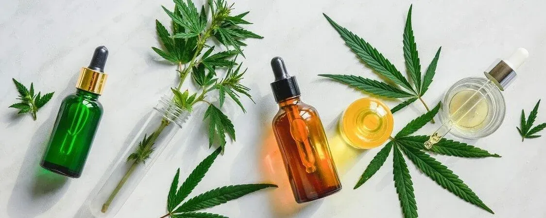 What Are CBD Dominant Weed Strains?