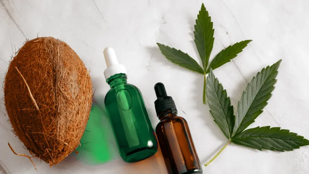 The Benefits Of Cannabis-Infused Coconut Oil