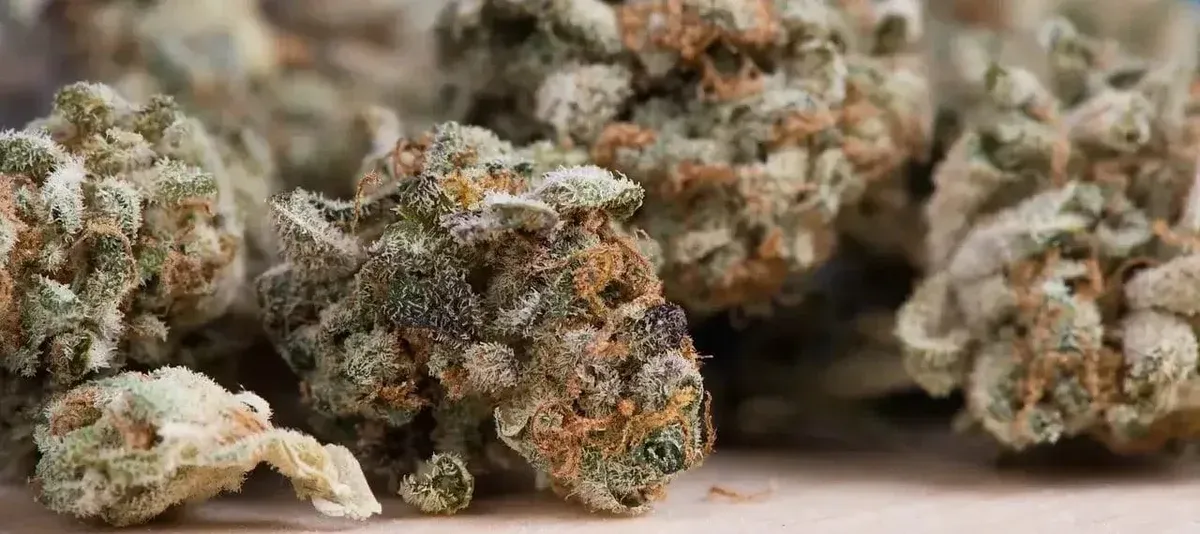 Embarc Dispensary’s Best Sellers in Martinez