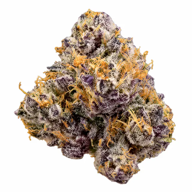 Purple Kush cannabis bud