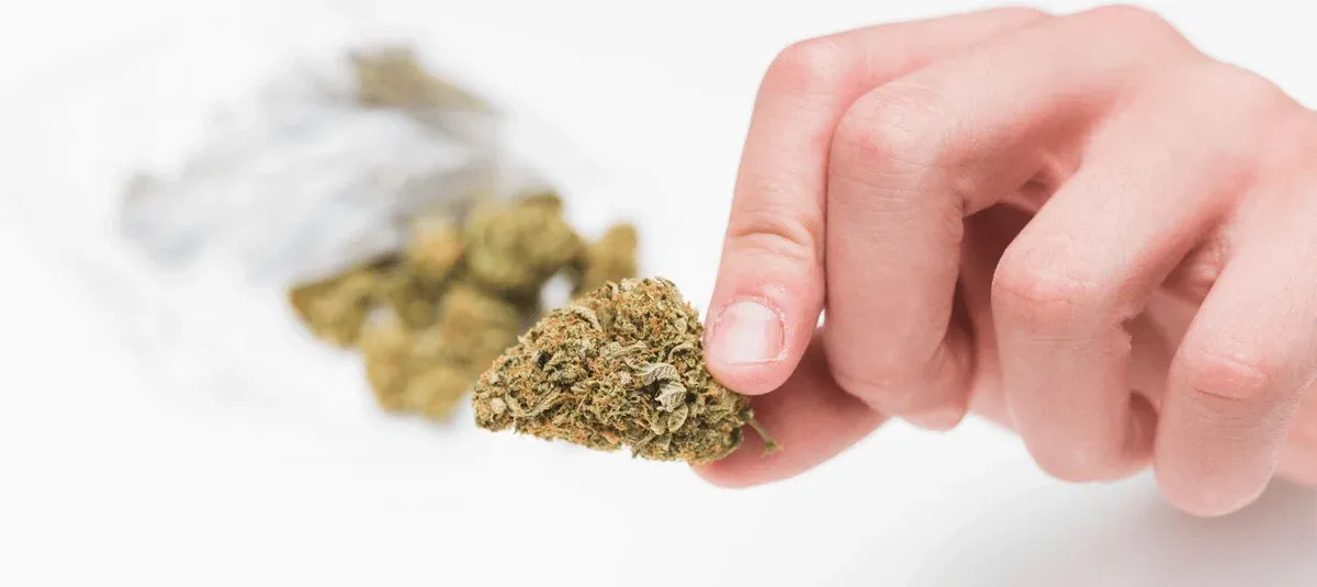 What Is Kief And How Can You Use It?