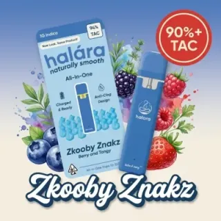 Zkooby Znackz from Halara