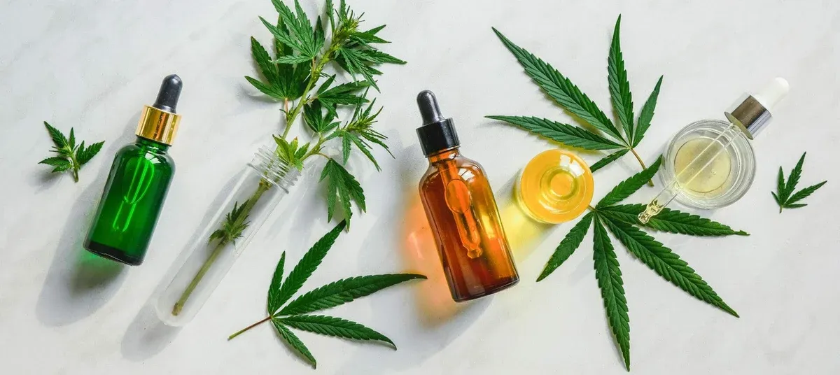 What’s the Difference Between Wax and Shatter? Top Questions Answered!