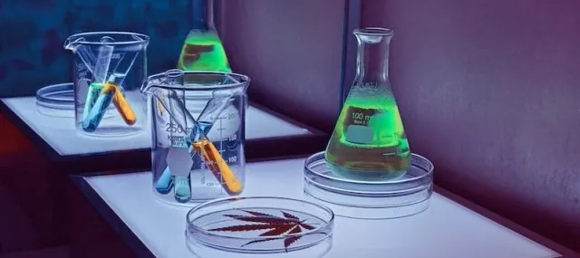 Cannabis Guide: Difference Between Terpenes and Cannabinoids