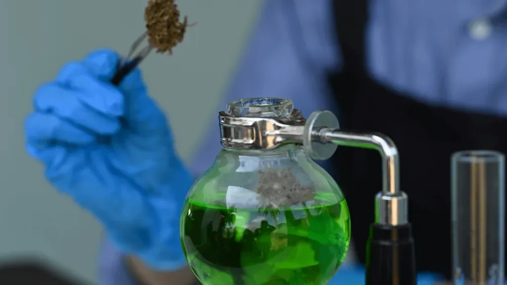 Ice Water Hash Explained
