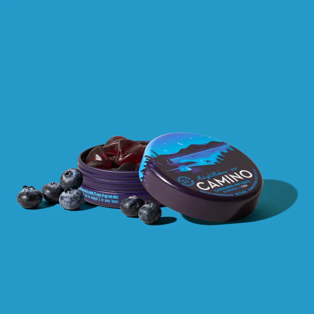 Camino Midnight Blueberry: A Comprehensive Review