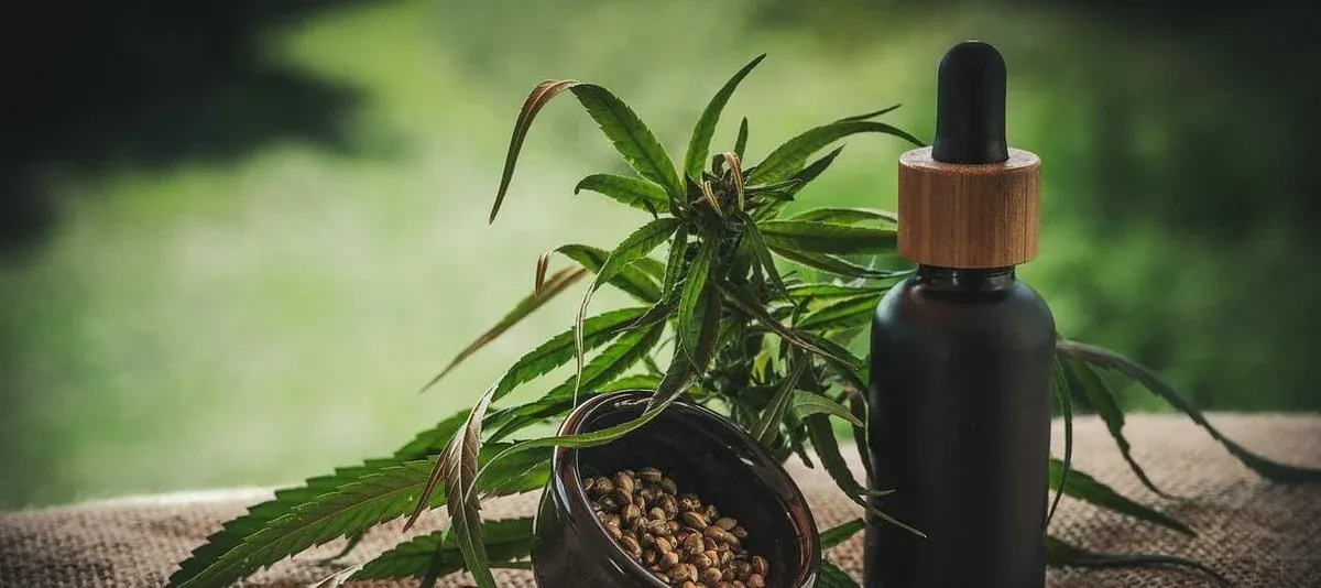 Embarc on your Journey with Cannabis Today - Brands We Love article