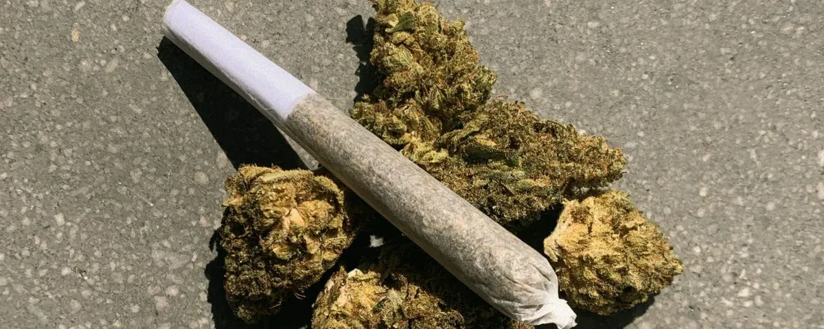 How to Buy Cannabis Online: Your Guide from Embarc
