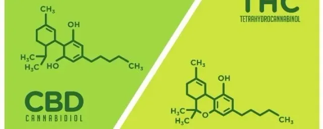 Difference Between CBD and THC