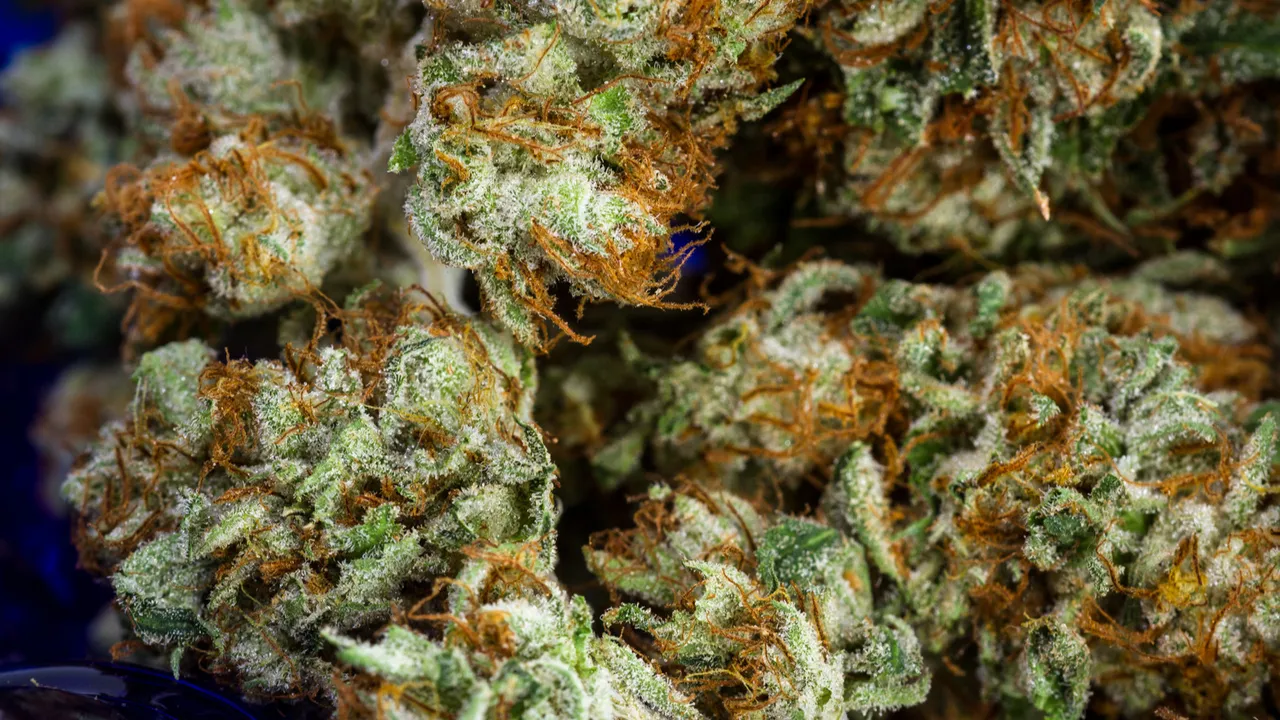 cannabis nugs