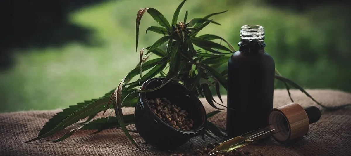 Cannabis Guide: CBD For Beginners