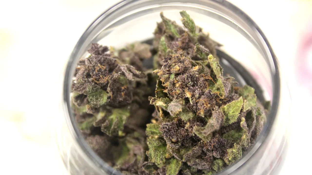 Purple weed buds in jar