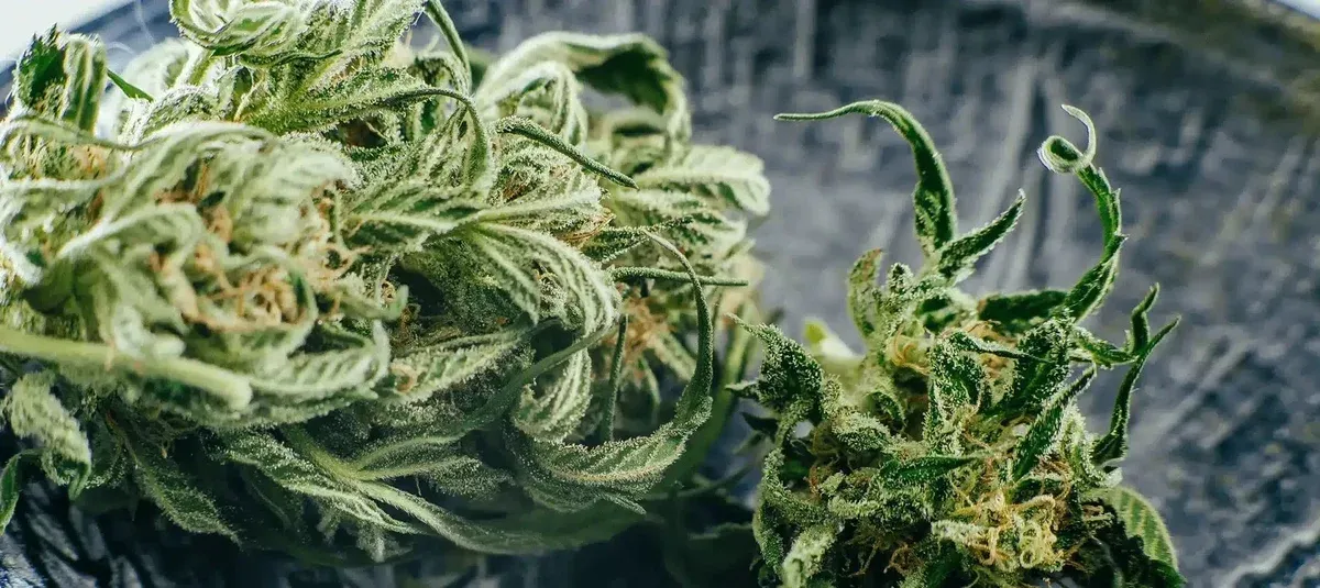 What Is A QP (Quarter Pound)?