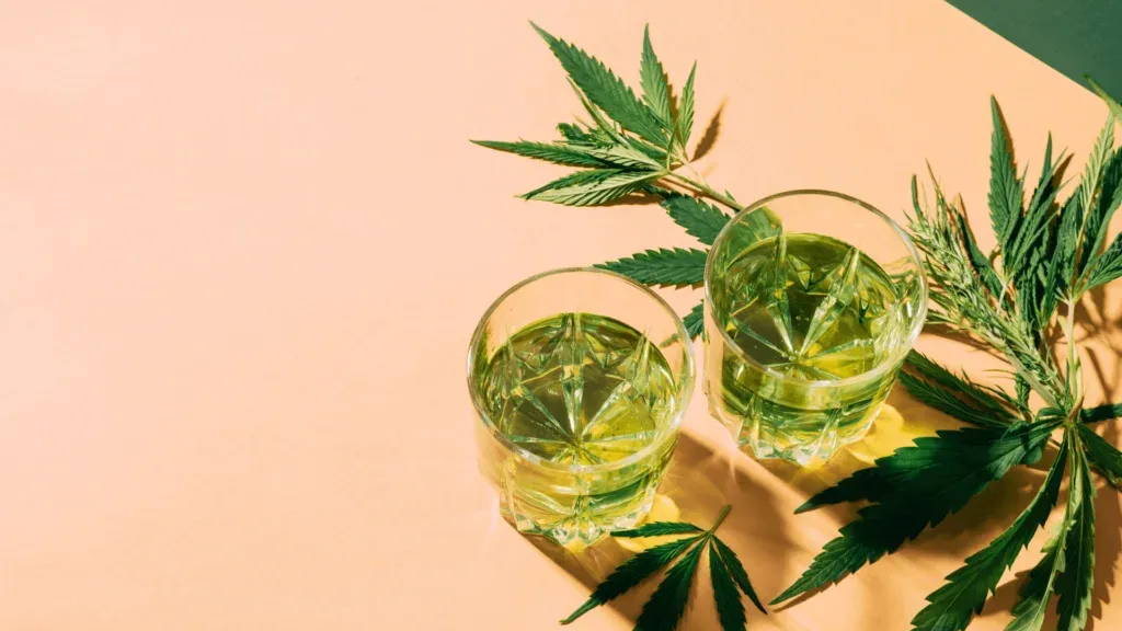 Two glasses of pale yellow infused liquid with cannabis leaves arranged around them on a beige surface.