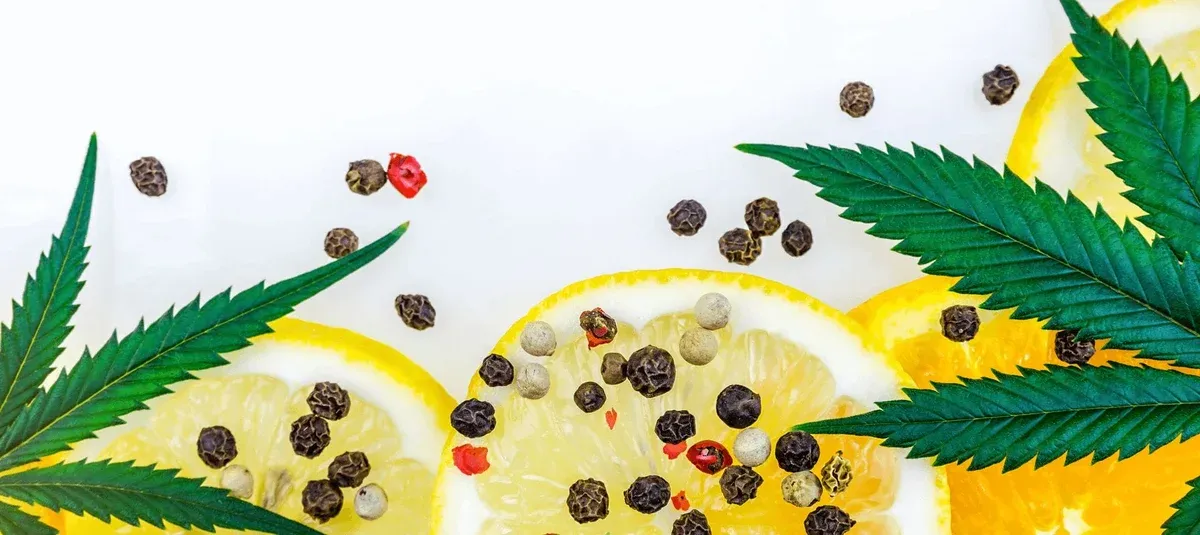 How To Make Cannabutter For Edibles With Our Easy Recipe