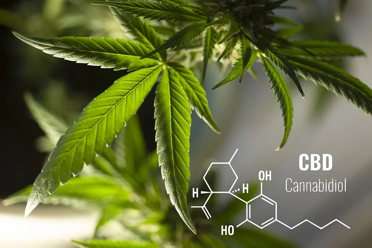 Molecular Structure of CBD