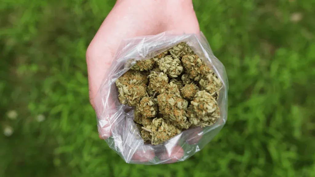 What Is A Pound Of Weed?