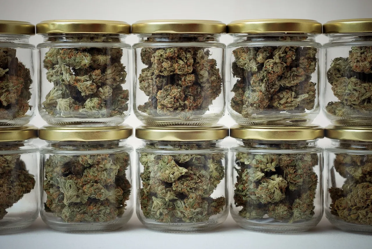 jars of cannabis how to store weed