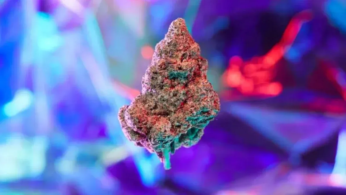 Purple Weed Strains