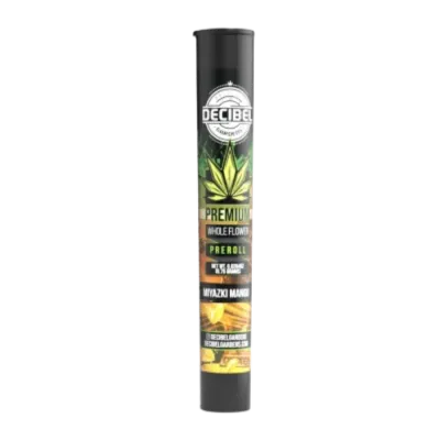 Decibel Gardens: Miyazaki Mango Single